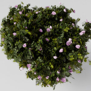 Flower 2
